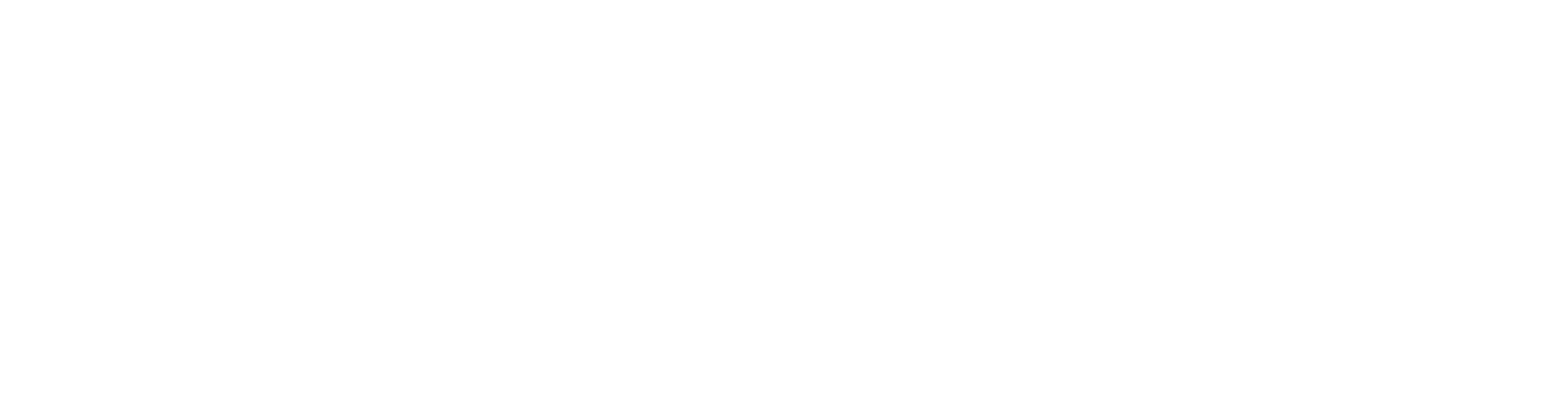 Quinta Planta