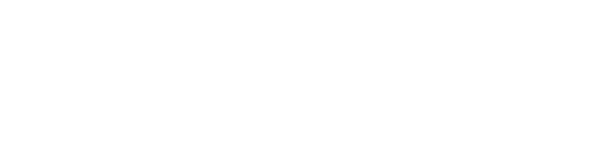 visora